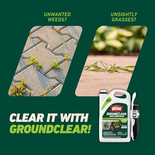 Ortho GroundClear Weed & Grass Killer with Comfort Wand, 1 gal.