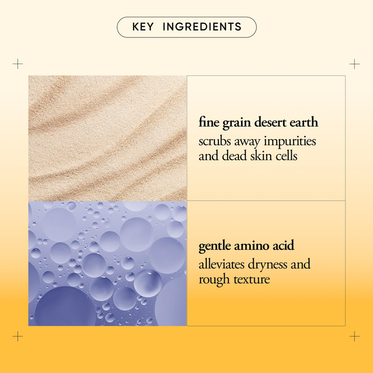 philosophy microdelivery exfoliating daily facial wash - with fine grain desert earth & gentle amino acids - scrubs
