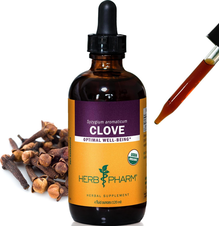 Herb Pharm Clove Liquid Herbal Extract: USDA Organic Support for Occasional Gas & Indigestion | Clove Supplement Made