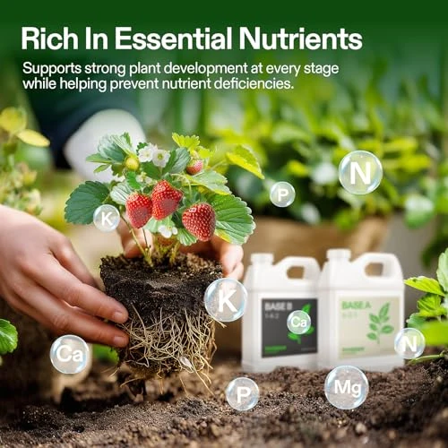 VIVOSUN Liquid Nutrients Base A & B Bundle, Set of 32oz