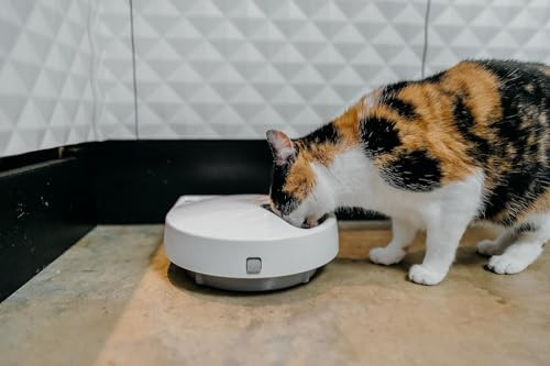 Cat Mate C500 Automatic Digital Pet Feeder for Dogs and Cats BPA and BHT Free with Ice Packs