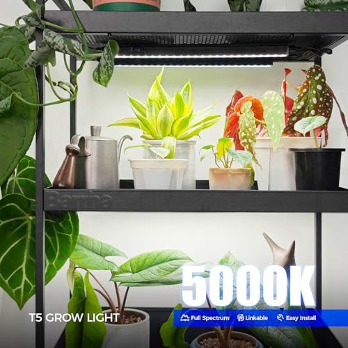 Barrina T5 Grow Lights, 5000K Full Spectrum Daylight White, 1FT, 8 Packs