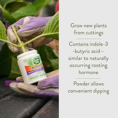 Garden Safe Brand TakeRoot Rooting Hormone, 12 Count, Powder Helps Grow New Plants from Cuttings Including Most Home,