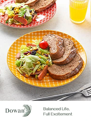 DOWAN 10" Colorful Dinner Plates Set of 6, Ceramic Dessert Plates Set for Salad, Pasta, Steak - Appetizer Plates,