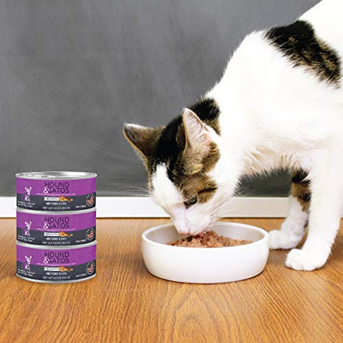 Hound & Gatos Turkey Wet Cat Food, Single Protein, 98% Real Meat Formula, Grain Free Limited Ingredient Cat Food, 5.5