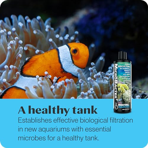 Brightwell Aquatics MicroBacter7 Biological Filter Bioculture Aid, 4L