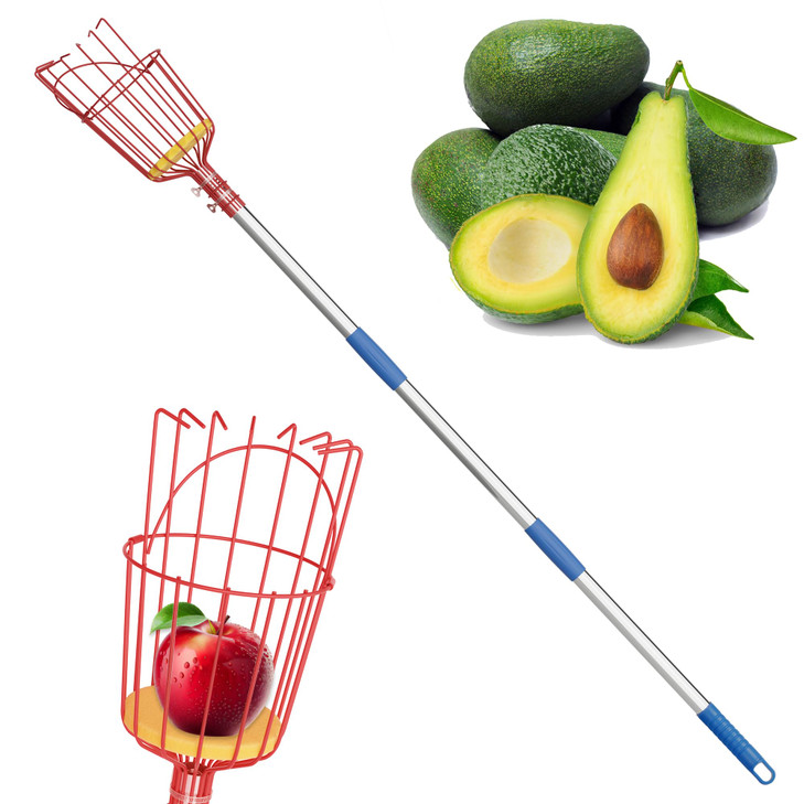 Fruit Picker, 8 ft Long Fruit Picker Pole with Basket Telescoping, Apple Fruit Tree Picker with Pole Extendable, Fruit