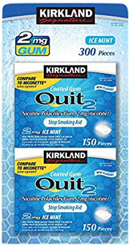 Kirkland Signature Quit Ice Mint Gum 2mg, 300 Pieces
