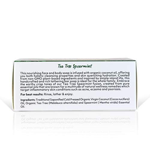 Coco Fiji Soap Bar For Face And Body Infused With Organic Coconut Oil Tea Tree Spearmint Essential Oil Natural Soap For Moisturizing And