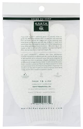 Earth Therapeutics Exfoliating Hydro Glove 1 Ea