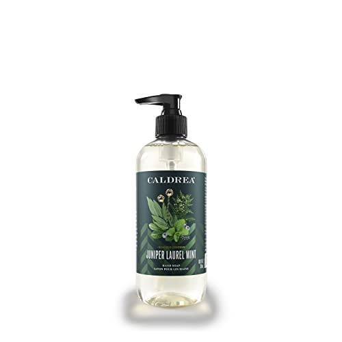 Caldrea Hand Wash Soap, Aloe Vera Gel, Olive Oil and Essential Oils to Cleanse and Condition, Juniper Laurel Mint Scent, 10.8 oz