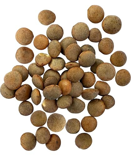Palouse Brand Certified Glyphosate Residue Free Brown Lentils 5 Lbs Desiccant Free Sproutable Non Gmo Project Verified Kosher
