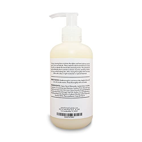 Karmaceuticles Aha Bha Exfoliating Cleanser 8 Oz