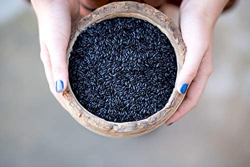Lotus Foods Bulk Organic Forbidden Rice Black Rice Organic Purple Rice Black Rice Bulk Gluten Free Heirloom Rice Whole Grain Non Gmo Vegan