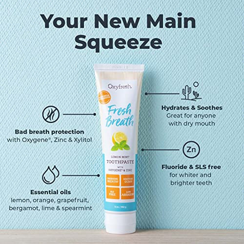 Oxyfresh Maximum Fresh Breath Lemon Mint Toothpaste Clean Teeth And Fresh Breath Natural Essential Oils And Natural Xylitol To Help Fight