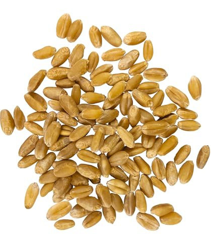 Palouse Brand Certified Glyphosate Free Hard White Wheat Berries 5 Lbs