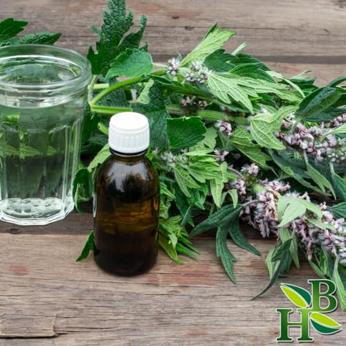 Herb To Body Motherwort Herb Cut & Sifted  4 oz, Wildcrafted Leonurus Cardiaca for Herbal Tea, Motherwort Tincture, and Natural Wellness Uses