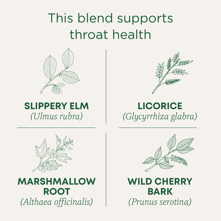 Traditional Medicinals Organic Throat Coat Seasonal Tea 16 Tea Bags Pack Of 1