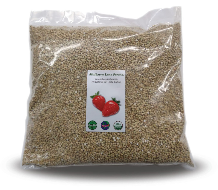 Buckwheat 5 Pounds Usda Certified Organic Non Gmo Hulled Whole Groats Bulk Product Of Usa Mulberry Lane Farms