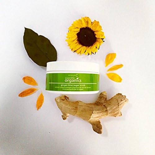 Emerginc Scientific Organics Ginger Lime Sugar Scrub Exfoliating Body Scrub With Vitamin E Plus Moisturizing Shea Butter Ginger Root Oil