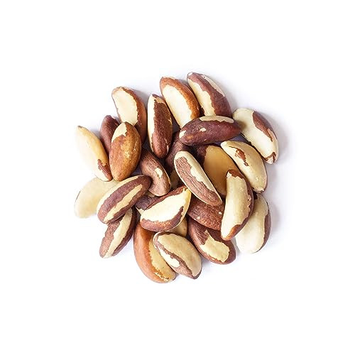 Food To Live Organic Brazil Nuts 8 Ounces Non Gmo Raw Whole No Shell Unsalted Kosher Vegan Keto Paleo Friendly Bulk Trail Mix Snack Good