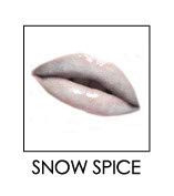 Lip Ink Organic Vegan Brilliant Tinted Lip Plumpers Snow Spice