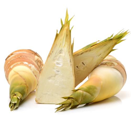 Bamboo Shoot Strips In Water 19Oz Pack Of 1