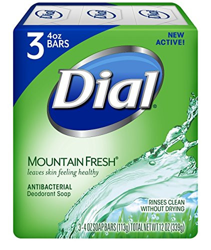 Dial Mountain Fresh Antibacterial Deodorant Soap 4.5 Ounces Each 3 Count 2 Pack