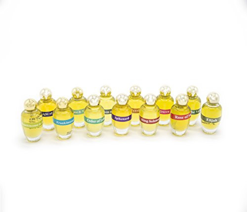 Ein Gedi Anointing Oil 12Ml 0.4Oz From Holyland Jerusalem Light Of Jerusalem