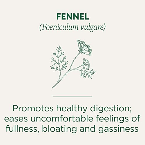 Traditional Medicinals Tea Organic Fennel Promotes Healthy Digestion 16 Tea Bags