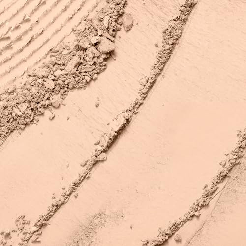 Lancôme Dual Finish Powder Foundation 310 Bisque Ii Cool