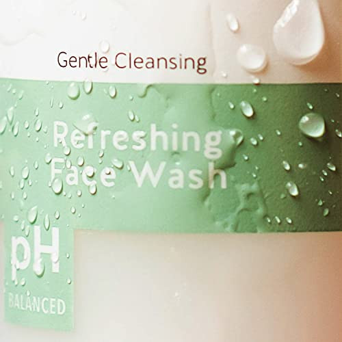 Alpha Skin Care Refreshing Face Wash Citric Aha 6 Oz