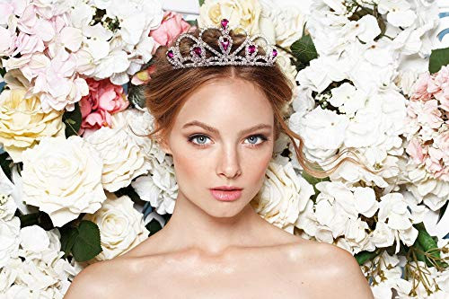 Lovelyshop Silver Rhinestone Princess Tiara For Girls Ages 5 8 Pink