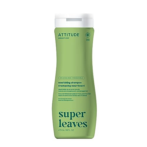 Attitude Moisturizing Shampoo For Dry And Damaged Hair Ewg Verified 16 Fl Oz