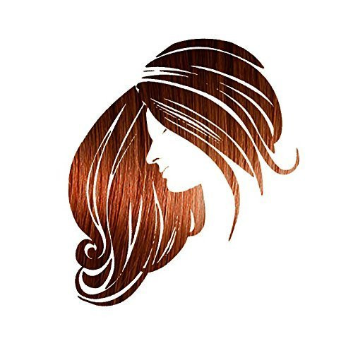 Bronze Shiny Copper Henna Hair Color For All Kit 100 Percent All Natural Hair Dye And Beard Dye Powder Kit Organic Herbal And Vegan Chemical