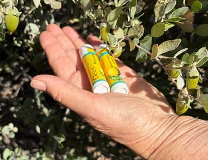 Usda Organic Lemon Jojoba Oil Lip Balm 2 Pack 0.15 Oz Each