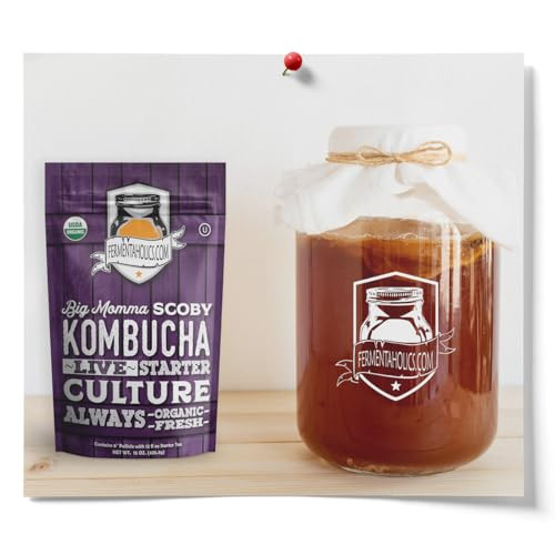 Fermentaholics Big Momma Kombucha Scoby 12 Fl O Z 6 Pellicle Plus 12 Oz Starter Tea Organic Kombucha Culture Makes 1 Gallon