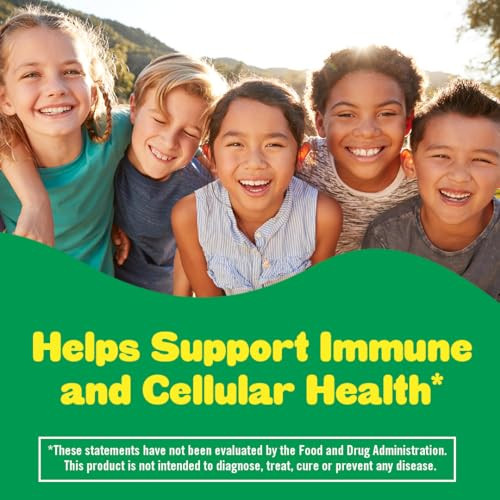 Lil Critters Immune C Daily Gummy Supplement Vitamin for Kids, for Vitamin C, D and Zinc for Immune Support, Orange, Lemon, Strawberry and Cherry Fl