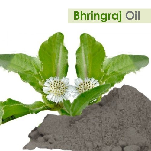 Salvia Bhringraj Oil Cosmetic Grade 30 Ml 1.01 Fl Oz Nourishing Natural Oil For Scalp And Hair Care Diy Formulations