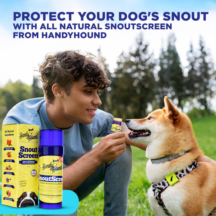 Handy Hound Snoutscreen Dog Sunscreen Balm For Nose And Paws 2 Oz