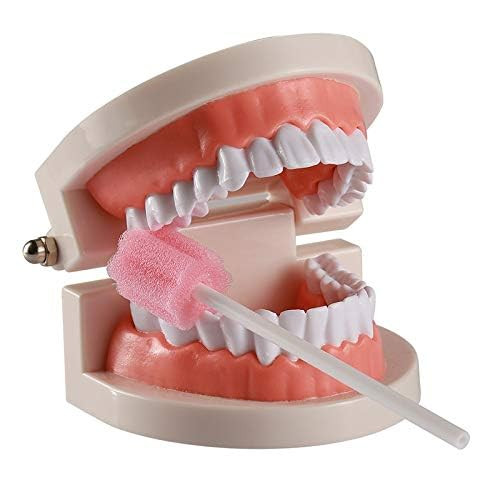 Wellgler S Oral Care Swabs Disposable Pink 100 Counts
