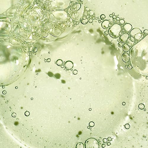 Briogeo Superfoods Matcha Plus Apple Replenishing Shampoo For All Hair Types