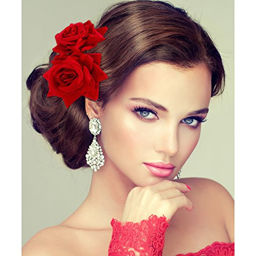 Bememo 2 Pack Women Red Rose Flower Hair Clips Flamenco Flower Side Combs