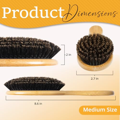 Belula 100 Percent Boar Bristle Hair Brush Set Medium For Thin And Fine Hair