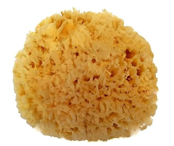 Spa Destinations Natural Sea Wool Sponge 5 6 Natural Renewable Resource Bath And Shower
