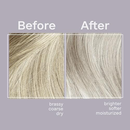 Jhirmack Silver Brightening Purple Shampoo 12 Fl Oz Pack Of 4