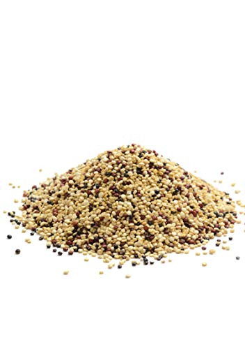 Bob S Red Mill Organic Tri Color Quinoa 13Oz Pack Of 1 Non Gmo Whole Grain Vegan Kosher