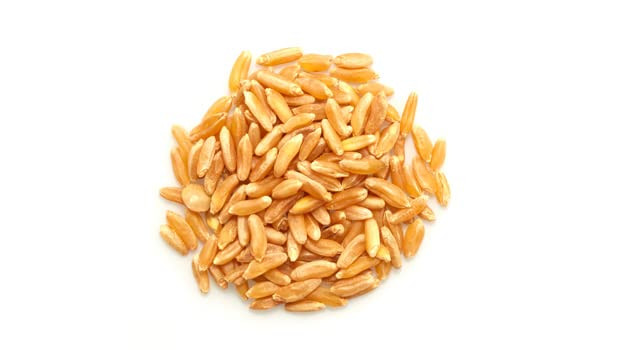 Yupik Organic Kamut Grains 2.2 Lb 35.2 Oz Non Gmo Vegan Kosher Raw Whole Grains Khorasan Wheat Nutty Flavor Source Of Fiber And Iron Ideal