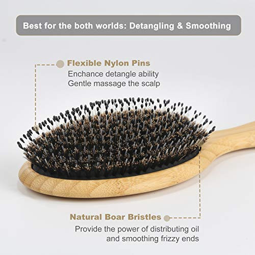 Bestool Hair Brush Regular And Small Boar Bristle Hair Brushes For Women Men Kids Thick Fine Curly Hair Hairbrush For Detangling Soften And