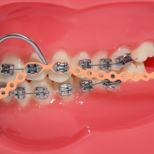 Faruijie Colourful Elastic Power Chain For Braces Dental Orthodontic Powerchains 3 Sizes Ortho Rubber Band Long Orange 7